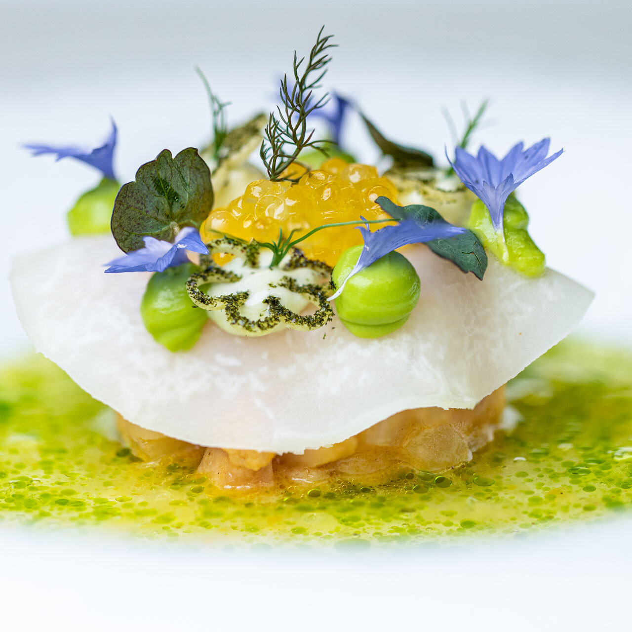 Ein schönes Gericht aus dem APOLLO Fine Dine Restaurant - ausgezeichnet mit 1 Michelin Stern.