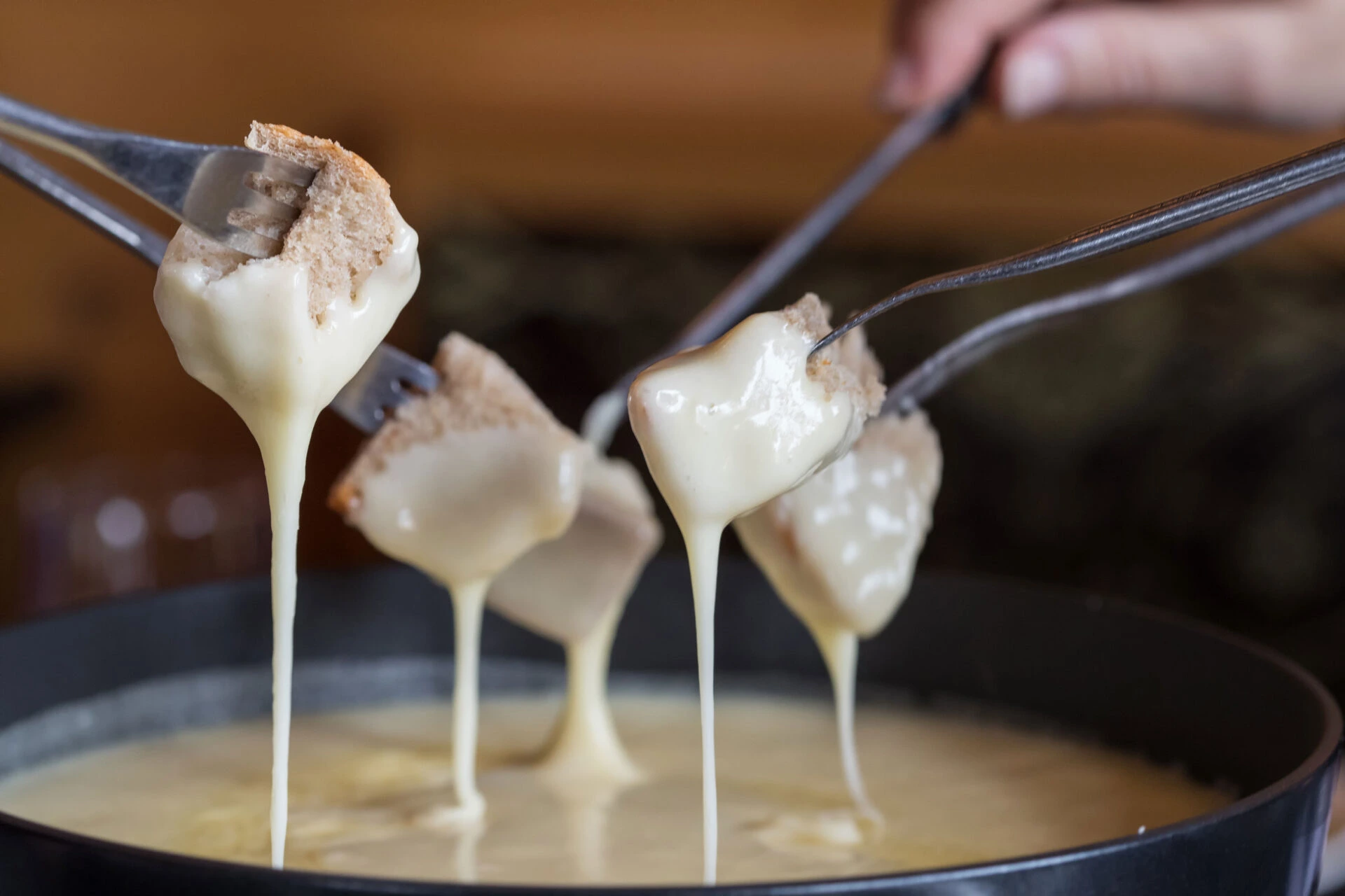 Brotstücke werden an Fonduegabeln aus dem Käsefondue gezogen