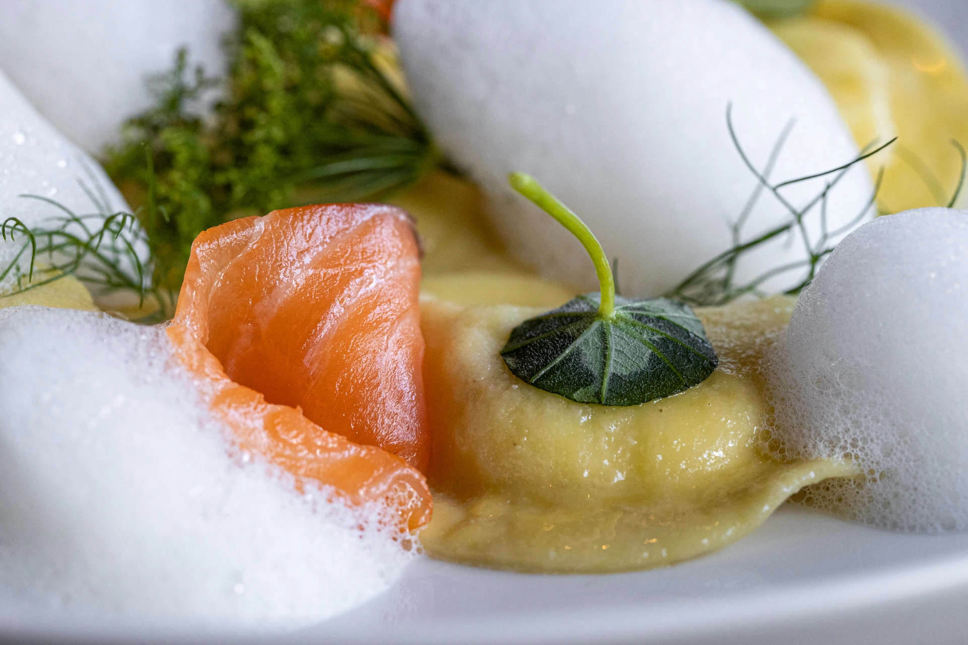 Zitronen-Raviolo mit Lachs, cremiger Sauce, Kräutern und luftigem Schaum, kunstvoll angerichtet im Restaurant Pulsa.