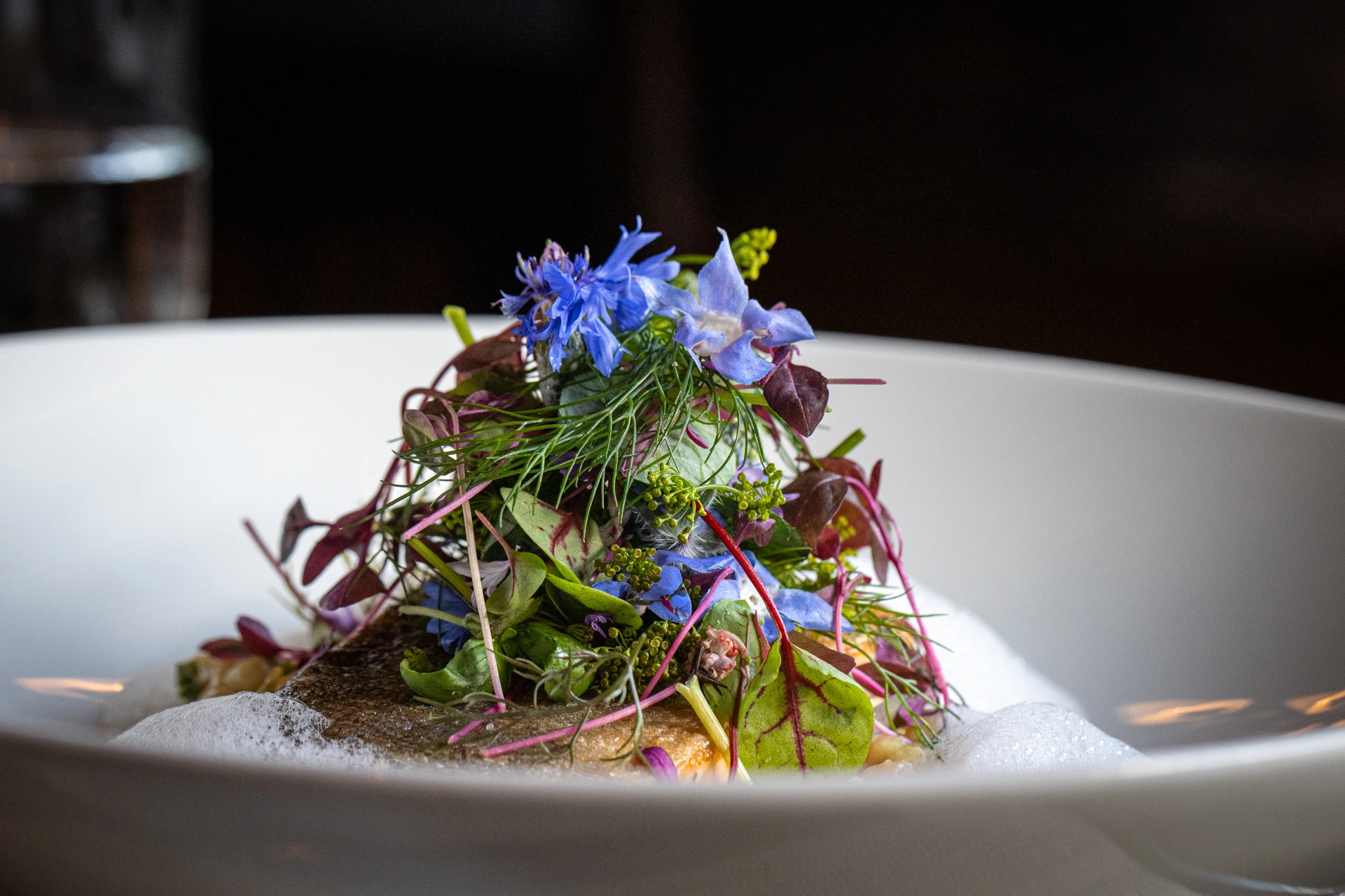 Fein angerichtetes Saiblingsfilet mit Wildkräutern, Blüten und cremigem Risotto, serviert im stilvollen Ambiente des Restaurants Pulsa.