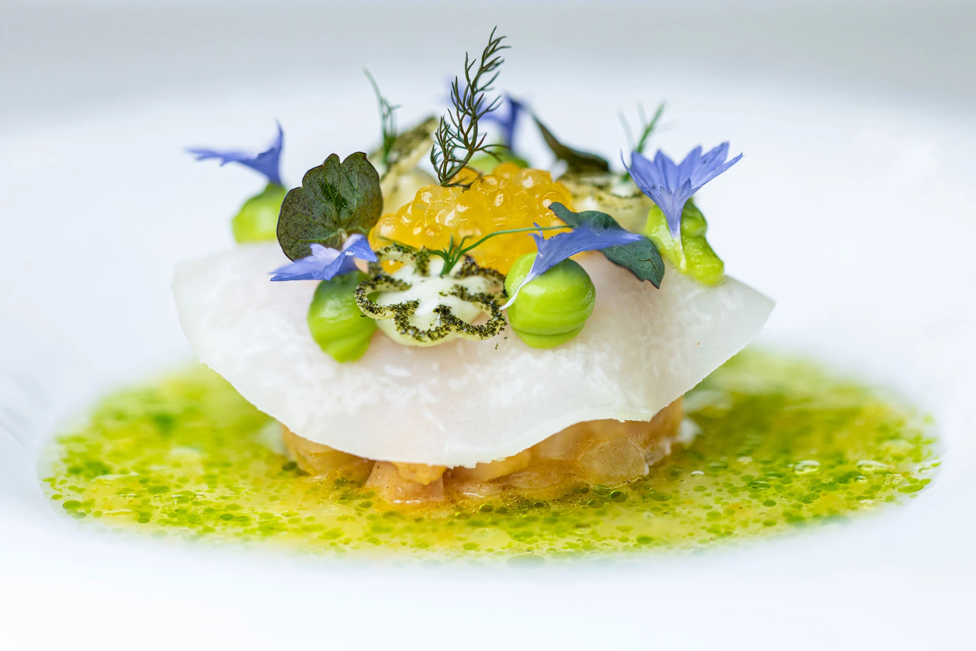 Gourmetgericht mit Fisch, Kaviar, Erbsen und essbaren Blüten in Kräutersud