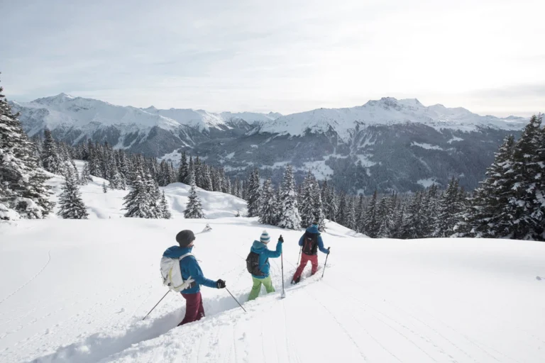 Three ski tourers ascending through snowy forest with mountain views
