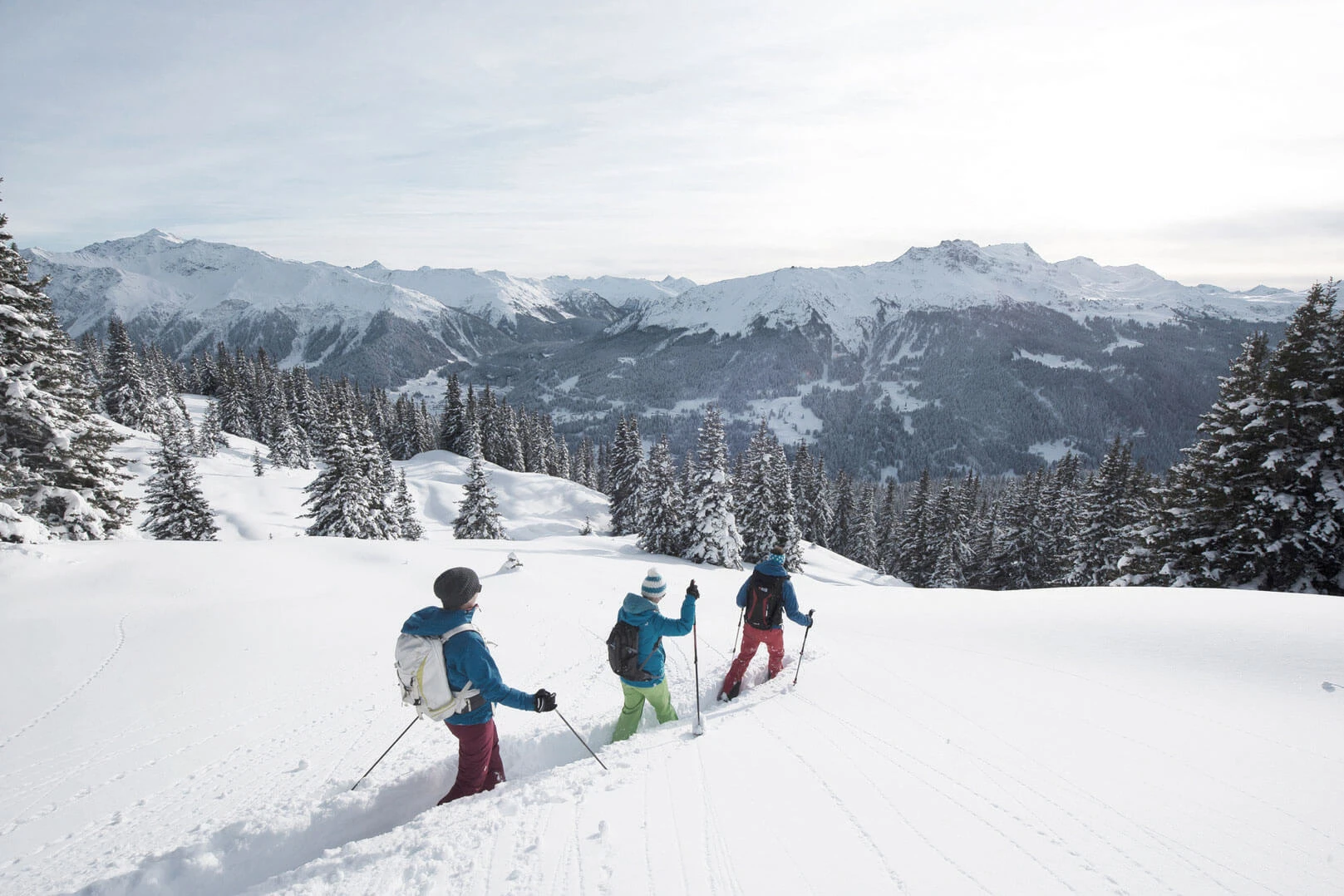 Drei Skitourengeher steigen durch verschneiten Wald mit Blick auf die Berge