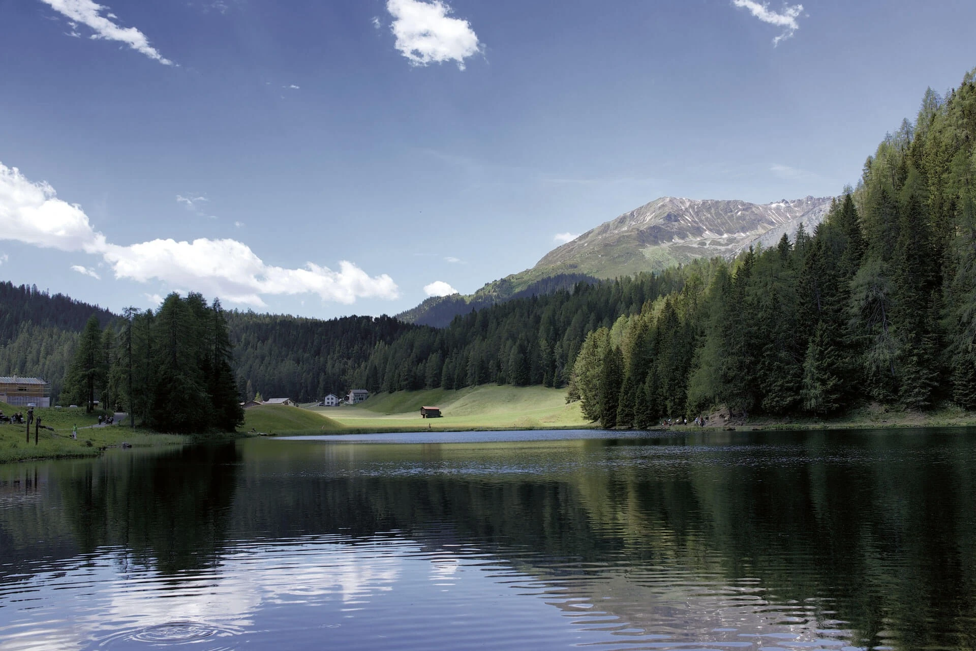 Bergsee bei Davos mit Wald und Bergen im Hintergrund