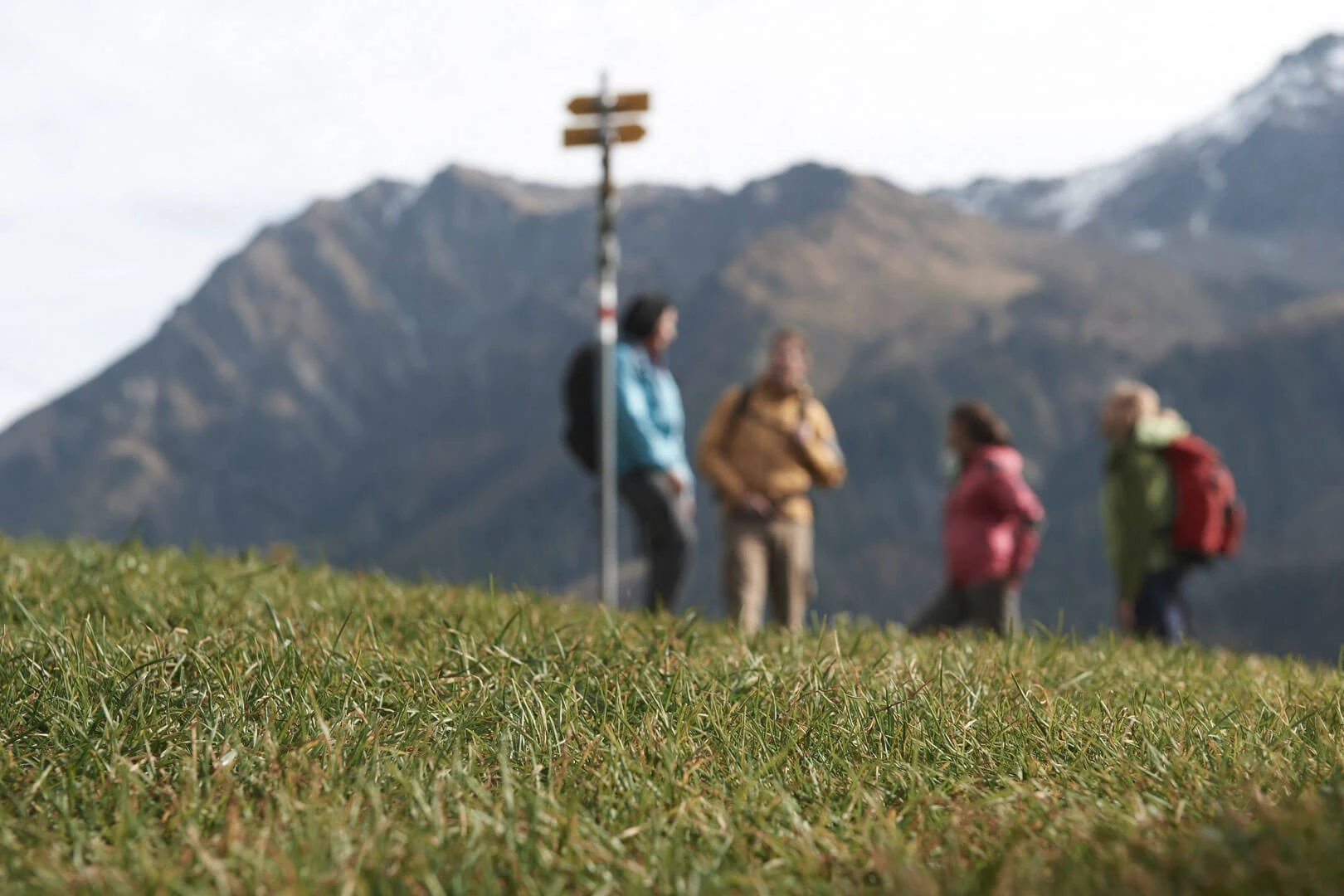 Wandergruppe bei einem Wegweiser auf einer Bergwiese, unscharf aufgenommen