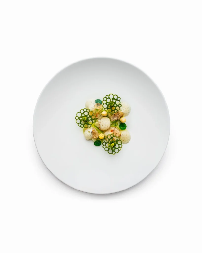 Jakobsmuschel mit Sommertrüffel, gepickeltem weissem Spargel und Wildkräutern